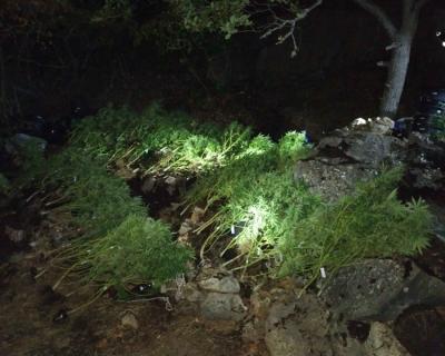 Прикрепленное изображение: 111.jpg